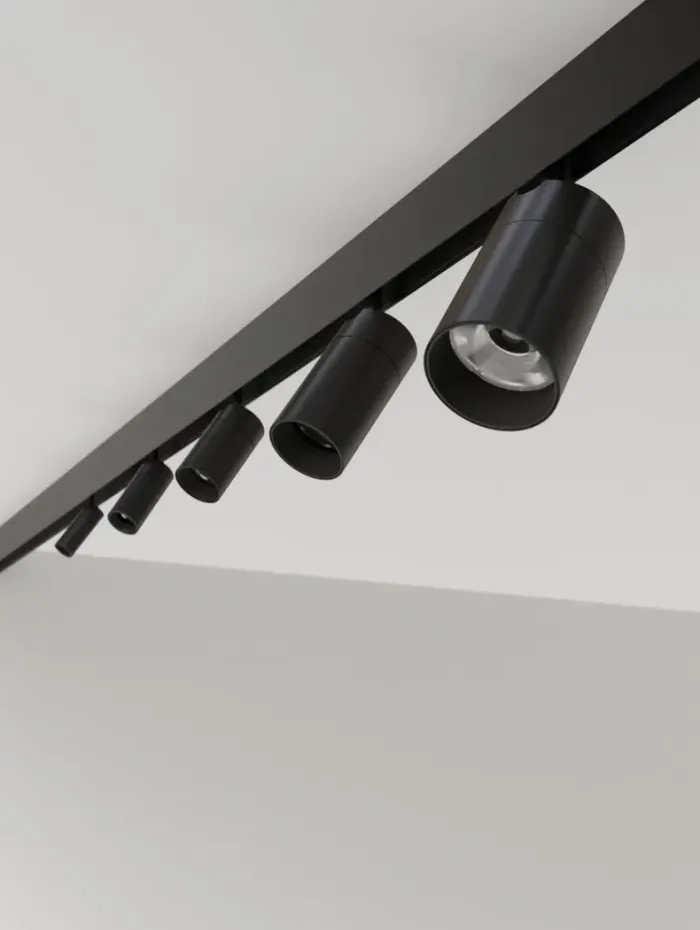 TicTok Long Arm